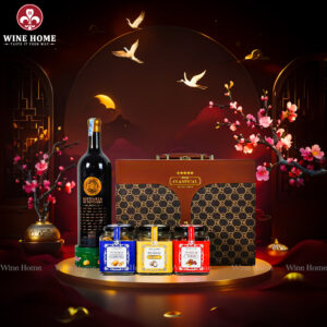 Hộp Quà Tết 2026 Phiên Bản Hộp Da Nâu Vali 08